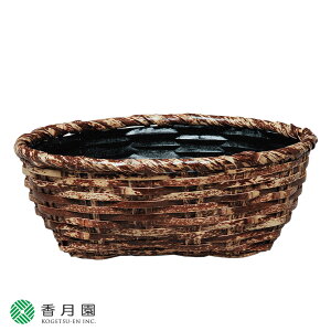 【茶道具 / 炭斗】 さざえ 風炉用炭斗 (紙箱)