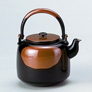 y /  () z v`@ʁ@y₩z