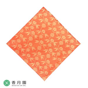  쐭X@jq@IW@y04zy / ÛсEގсzy䂤pPbgΉz