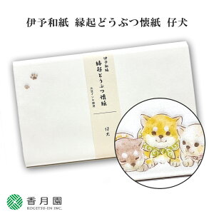 y / z ɗ\a NǂԂ e (20) 1 y䂤pPbgΉz