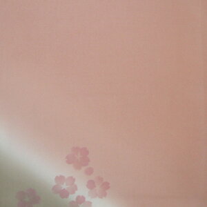 y / ގсz ֛ (ӂ) / ڂ / F`O[