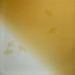 y / ގсz ֛ (ӂ) /  / 
