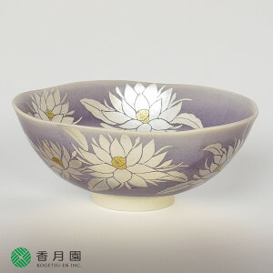 y / qzq@ց@ʁ@l@V䋞  (˔)