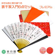 【茶道具/入門セット】好きな色と柄が選べる 表千家入門6点セット プレミアム【ゆうパケット送料無料】