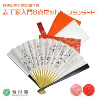 【茶道具/入門セット】好きな色と柄が選べる 表千家入門6点セット スタンダード【ゆうパケット送料無料】