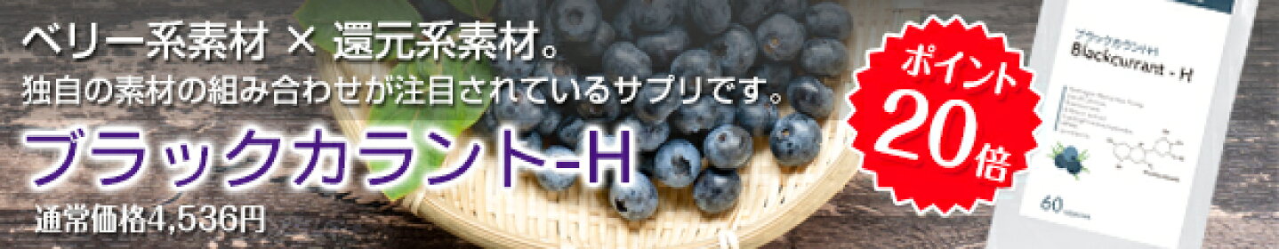 アイケアサプリ　ブラックカラントH