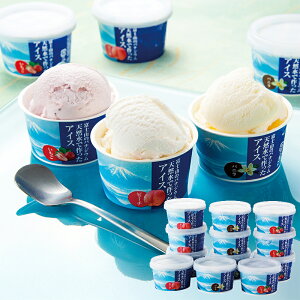 (YnE) VRōACX (-G1566-904A-) | j Mtg oYj o j Cj Ԃ u