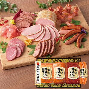 (YnE) {n {ih ቤ FS-500 (-G1575-102A-) | j Mtg oYj o j Cj Ԃ u