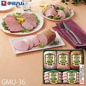 Ε ɓn nMtg ` dグ ( GMU-36 ) [J[  | Ε A [Xn ECi[ lC 2025