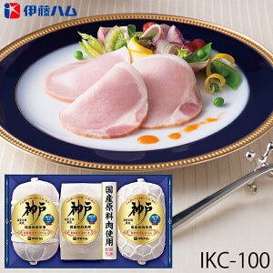 Ε ɓn `@[XnMtg _ ( IKC-100 ) [J[  | Ε A [X n lC 2025