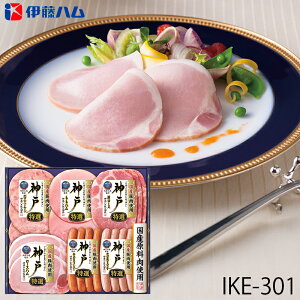 Ε ɓn `@oGeBnMtg _ ( IKE-301 ) [J[  | Ε A [Xn n lC 2025