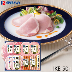 Ε ɓn `@oGeBnMtg _ ( IKE-501 ) [J[  | Ε A [Xn n lC 2025