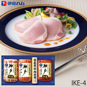 Ε ɓn I[XnMtg _ ( IKE-4 ) [J[  | Ε A zCg[X ē [t lC 2025