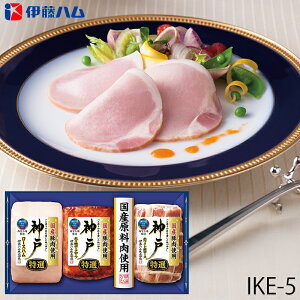 Ε ɓn I[XnMtg _ ( IKE-5 ) [J[  | Ε A [Xn ē [X lC 2025