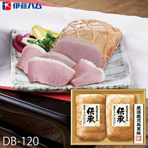 Ε ɓn Y nMtg ` ( DB-120 ) [J[  | Ε A [Xn n lC 2025