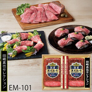 Ε ɓn c^ďC Y[Xgr[t ( EM-101 ) [J[  | Ε A OCr[\[Xt lC 2025