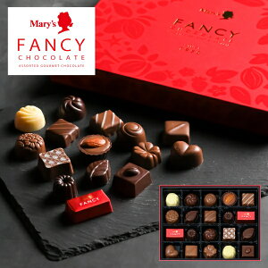 [`R[g t@V[`R[gMtg 20 FC-IN  (t0) | Mtg a v[g j j Ԃ  A oYj  lC  i َq܂ ŋ