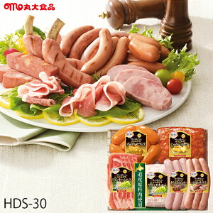 Ε n Mtg ۑHi kCnMtgA ( HDS-30 ) [J[  ۑn | Ε A n n tN lC 2025