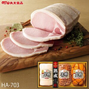 Ε n Mtg ۑHi e ( HA-703 ) [J[  ۑn | Ε A [Xn {Xn lC 2025