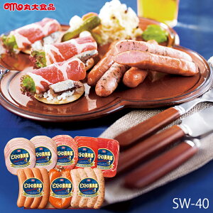 Ε n Mtg ۑHi rXgy ( SW-40 ) [J[  ۑn | Ε A [Xn \[Z[W lC 2025