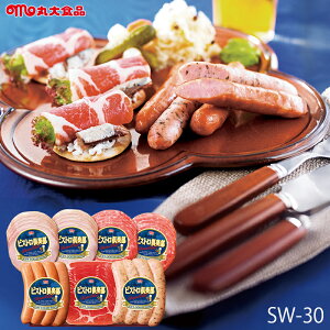 Ε n Mtg ۑHi rXgy ( SW-30 ) [J[  ۑn | Ε A [Xn \[Z[W lC 2025