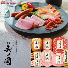 お歳暮 ハムギフト 北海道 プレミアム 美ノ国 ( UKH-53 ) 日本ハム メーカー直送 送料無料 ニッポンハム (t4)| 御歳暮 ご挨拶 熟成ロースハム ウインナー 人気 2025