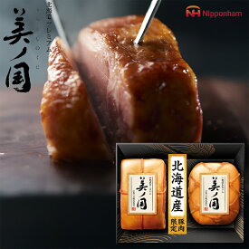 お歳暮 ハムギフト 北海道 プレミアム 美ノ国 ( UKH-55 ) 日本ハム メーカー直送 送料無料 ニッポンハム (t4)| 御歳暮 ご挨拶 ロースハム ももハム 人気 2025