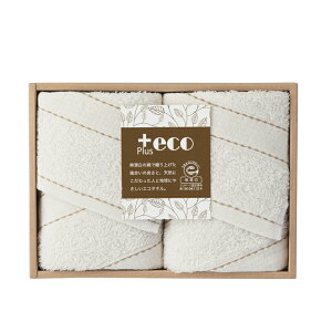 yyVX[p[Z[zy50OFFz B +eco tFCX^I2P PE-2515 (-032-060P-) | j Mtg oYj o j Cj Ԃ u