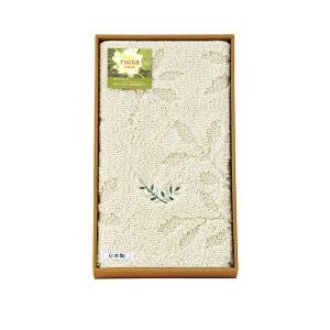 yyVX[p[Z[zy50OFFz bJ oX}bg AC{[ 091423IV (-062-063P-) | j Mtg oYj o j Cj Ԃ u