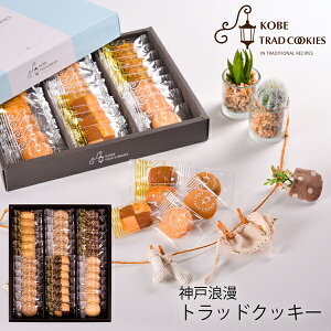 _˘Q _˃gbhNbL[ TC-15N (i) (-G1317-407-) (t0) | Mtg َq  j j Ԃ Mtg  A oYj  Cj  TԂ lC 