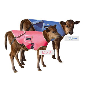 s{YtyepWPbgzTBJacketFybコƋJ@qp@~pWPbg@΍@{Yށz