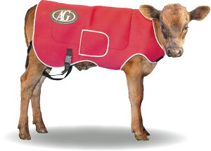 s{YtJ[tWPbg(v~A lI)ySz