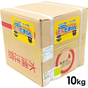 s{YtyAz`܂F10kgyGT̋򂢂UP Nێ@Y̌@ӂ肩邾z