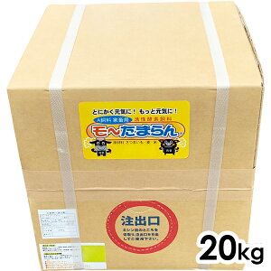 s{YtyAz`܂F20kgyGT̋򂢂UP Nێ@Y̌@ӂ肩邾z