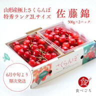 期間限定　山形産　極上さくらんぼ　佐藤錦　特秀　2L　バラ詰め　1kg　500g×2パック　食べごち