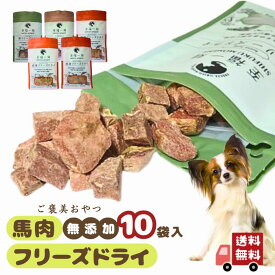 犬 おやつ 馬肉 フリーズドライ 高タンパク・低脂肪 10袋入 無添加 国内加工 小粒 スティック スライス 犬猫対応