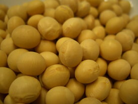 鶴の子大豆 10kg 豆力 北海道産 大豆 つるのこだいず 希少豆 国産 国内産 乾燥豆 豆類 和風食材 生豆