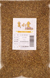 玄小麦（きたほなみ） 1kg 豆力 北海道産 小麦 薄力小麦 麦ご飯 小麦玄麦 雑穀 国産 全粒粉 無添加 薄力粉 胚乳 小麦胚芽 小麦ふすま