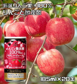 りんごと微炭酸 100%のやさしいジュース 185ml×20缶 神戸居留地 りんごジュース アップルジュース 富永貿易 サイダー
