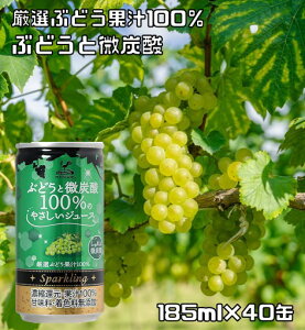 ԂǂƔY_ 100%̂₳W[X 185ml×40 _ˋn ԂǂW[X O[vW[X xif Y_