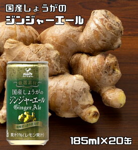 YIWW[ 185ml×20 _ˋn IW[X 傤W[X Y_ Xp[NO xif