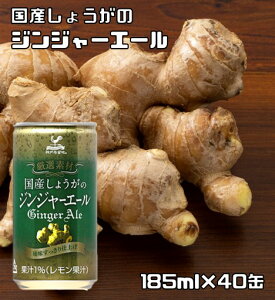 YIWW[ 185ml×40 _ˋn IW[X 傤W[X Y_ Xp[NO xif