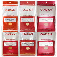シーズニング 選べる2品セット GABAN （メール便）ミックススパイス ケイジャン ハーブチキン ギャバン …