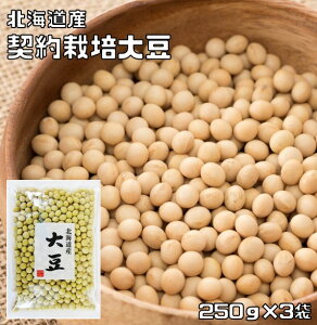 哤 250g×3  _͔| kCY i[ցj Y  Y  哤 aH 