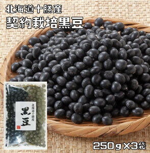  250g×3  _͔| [ kC \Y 哤 ܂ 낾 Y  Y  哤 