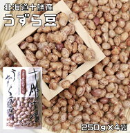 うずら豆 1kg 豆力 北海道十勝産 北海道産 アサヒ食品工業 うずら 国産 国内産 徳用 乾燥豆 手料理 手作…