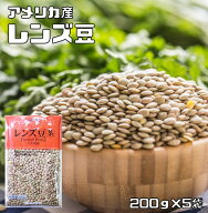 レンズ豆 皮つき 1kg 豆力 れんずまめ レンティルピース 皮付き 国内加工 乾燥豆 豆類 乾燥豆 サラダ豆 …