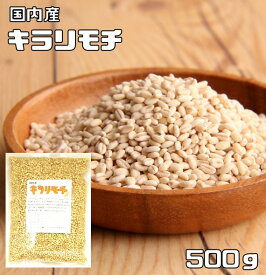 もち麦（キラリモチ） 500g 豆力 国産 もちむぎ 大麦 裸麦 国内産 雑穀 国内加工 穀物 雑穀米 雑穀ごはん