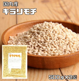 もち麦（キラリモチ） 1kg 豆力 国産 もちむぎ 大麦 裸麦 国内産 雑穀 国内加工 穀物 雑穀米 雑穀ごはん