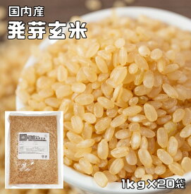 発芽玄米 20kg 豆力 北海道産 玄米 玄氣 米 発芽米 無洗米タイプ 日本米 国産米 国内産 穀物 健康米